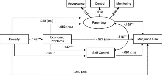 Effect of poverty and economic problems on marijuana use in early adulthood. Note. In structural equation modeling framework, circle variable characterizes latent variable, whereas square variables represent observable variables. χ2(36) = 51.85, p = .04; RMSEA = .02 (90% CI = .00–.03); CFI = .98; TLI = .97; WRMR = .07.