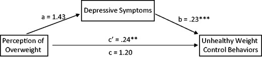 Mediation model with depressive symptoms mediating the relationship between youth perception of overweight and unhealthy weight control behaviors. Note. Estimate of the indirect effect = (.34); BC bootstrapped 95% confidence interval = [.0685, .8571]. *p < .05, **p < .01, ***p < .001.