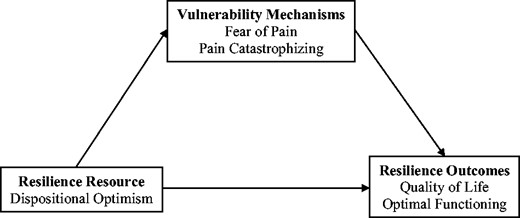 The mediational effect of vulnerability mechanisms on the relation between optimism and resilience in pediatric chronic pain. Adapted from “Resilience: A New Paradigm for Adaptation to Chronic Pain,” by J. A. Sturgeon and A. J. Zautra, 2010, Current Pain and Headache Reports, 14, p. 107. Copyright 2010 by Springer.