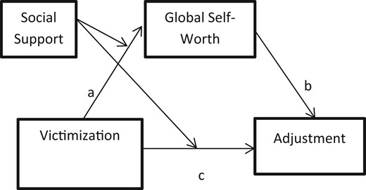 Conceptual model.