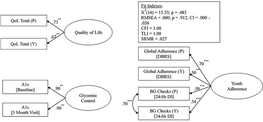 Standardized path coefficients with error variance correlations for latent variable measurement model.
