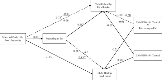 Final model for mother–child food-related mechanisms predicting child dietary intake within and across three groups of Chinese mothers.