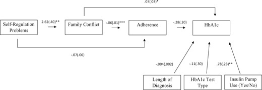 Greater problems with self-regulation are associated with glycemic control (HbA1c) through greater family conflict about diabetes management.