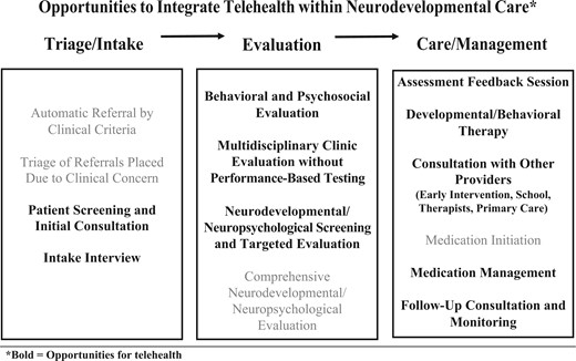 Opportunities to integrate telehealth within neurodevelopmental care*.