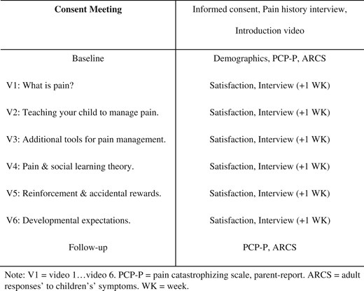 Study protocol and structure.