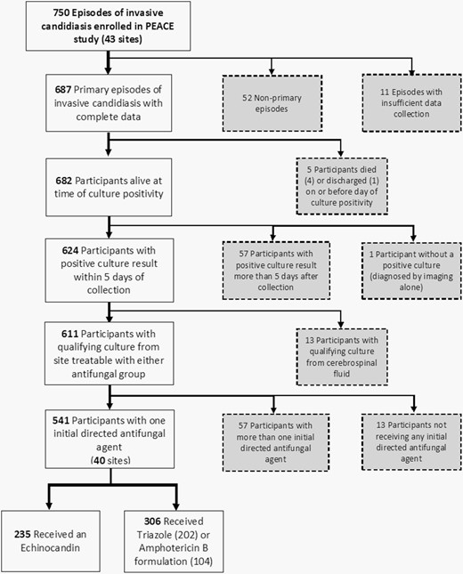 Application of exclusion criteria to determine evaluable episodes for analysis. Patients excluded from analysis appear in gray boxes.