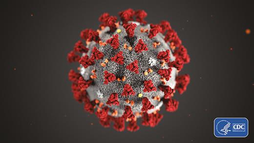 The ultrastructural morphology exhibited by the 2019 novel coronavirus. Photo used with permission from the Centers for Disease Control and Prevention, Alissa Eckert, Dan Higgins (available at https://phil.cdc.gov/Details.aspx?pid=23311). 