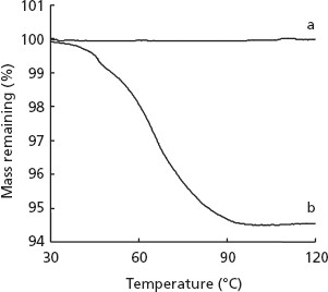 Thermal gravimetric analysis curves of (a) form II and (b) form III.