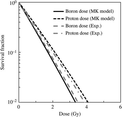 Comparison between the cell survival fraction for boron and proton dose components estimated from the α values obtained by re-evaluating the past experimental results and our simulation using LQ parameters from the MK model.