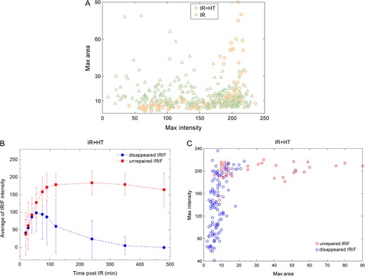 Analysis of single IRIF. (A) The correlation of maximum IRIF area and maximum IRIF intensity. Orange circles and green triangles represent single IRIF in the IR+HT group and the IR group, respectively. (B) The average intensity of unrepaired IRIF (red squares) and ‘disappeared’ (i.e. repaired) IRIF (blue dots) in the IR+HT group at indicated times. (C) The correlation of maximum IRIF intensity and maximum IRIF area in the IR+HT group. Red squares and blue circles represent single unrepaired IRIF and ‘disappeared’ (i.e. repaired) IRIF, respectively.