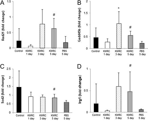 Real-time PCR analysis of Rad21 (Panel A), Gadd45b (Panel B), Sod2 (Panel C) and Irg1 (Panel D) in the small intestine of C57BL/6N mice. KMRC011 was intramuscularly injected 15 min after 11 Gy total-body irradiation (TBI), except for the control group. Data are expressed as mean ± SD (n = 6). *P < 0.05 and *P < 0.05 versus the control group; #P < 0.05 versus the PBS 5 days group, using two-tailed t-tests.