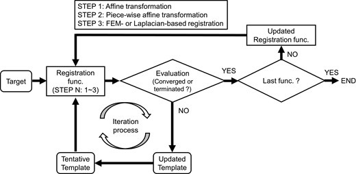 The schematic flow of registration. At STEP 1, the template models were updated until the convergence criterion or termination criterion was met. The convergence criterion was that the average mean bidirectional difference between after the end of the k – 1th loop and after the end of the kth loop in the most recent 10 iterations was <0.001 mm. Otherwise, the iteration process was terminated when the optimization calculation completed the 3000th iteration. When the convergence criterion or termination criterion was met, the iteration process for STEP 1 was terminated, and the iteration process for STEP 2 was then initiated. These processes were repeated until the convergence criterion or termination criterion was met in the last STEP. Once registration was completed for one target model, the iteration process was initiated for the next target model.