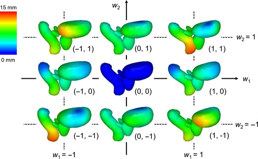 Samples of our statistical shape models derived from the resultant 200 prostate cancer patients using Algorithm A. The average model is located in the middle, and the colored parts illustrate displacement from that model. By varying weight parameters (w1 and w2), various shapes can be expressed.