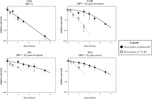 Clonogenic survival after photon- and 12C-RT. REF for photon-RT W12 vs S12 cells was 1.1 and Caski vs C33a was 2.3. REF for 12C-RT W12 vs S12 was 0.9 and Caski vs C33a was 0.7.