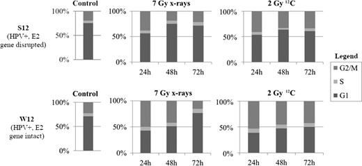 Cell cycle analyses of HPV-integrated (S12) and HPV-episomal (W12) cells after irradiation with 7 Gy photons and 2 Gy 12C after 24, 48 and 72 h, respectively.