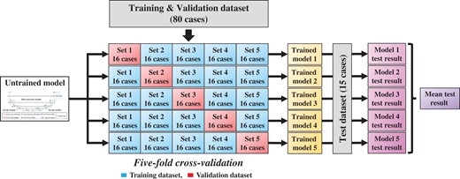 Schematic diagram of the training and evaluation processes with 5-fold cross-validation and model averaging.