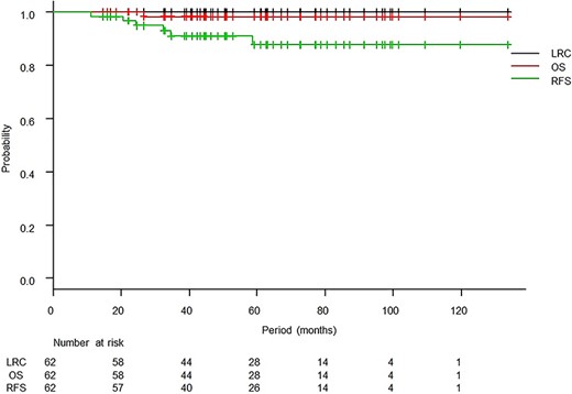 Kaplan–Meier curves of locoregional control (LRC), overall survival (OS) and relapse-free survival (RFS).