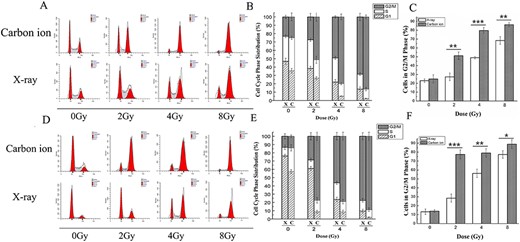 The different effects of X-ray and carbon ion irradiation on the cell cycle phase distribution in MDA-MB-231 and MCF-7 cells. The cells were irradiated by X-rays or carbon ions at doses of 0, 2, 4 and 8 Gy, and then the cell cycle phase distribution was determined by flow cytometry 48 h after irradiation. The DNA fluorescence histograms show the distribution of specific cell populations in the G1, S and G2/M phases in MDA-MB-231 (A) and MCF-7 (D) cells. The stacked plot shows the percentage of cells in the G1, S and G2/M phases in MDA-MB-231 (B) and MCF-7 (E) cells. The bar graphs show the percentage of MDA-MB-231 cells (C) and MCF-7 cells (F) in the G2/M phases. Cells were stained using PI and subjected to flow cytometric analysis, which included 20 000 events. Data are the mean ± SD of three independent experiments. *P < 0.05, **P < 0.01 and ***P < 0.001 by one-way ANOVA.