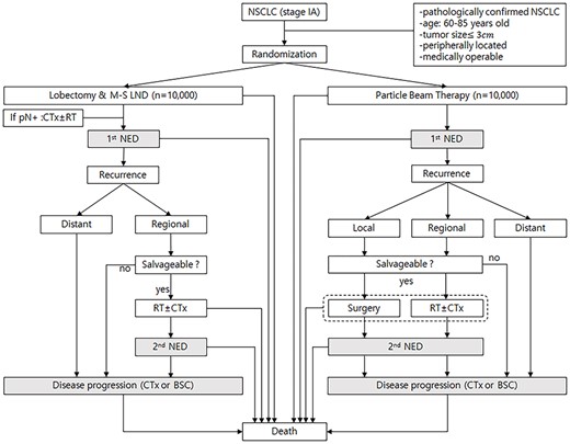 Scenario for the Markov state transition model of stage IA NSCLC. Each rectangle represents a state of health. From the initial state, patients are randomized to undergo lobectomy or PBT. Straight arrows represent the changes that may occur during each cycle or a very short time interval. In contrast, gray rectangles mean that the patients may remain in the same Markov state for more than one cycle. CTx; chemotherapy, RT; conventional radiotherapy, pN+; pathologically positive lymph node, NED; no evidence of disease, BSC; best supportive care.