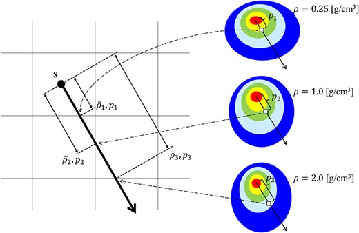 The schematic of the inhomogeneity correction in the CCCMR algorithm. The left image shows the volume segment, and the right image shows the EDKms generated in each arbitrary mass density. s is the interaction point, and the thick arrow from s indicates the energy transportation direction. ${\overline{\rho}}_i$ and ${p}_i$ (i = 1, 2, 3) indicate the average mass density and the radiological path length from s to each cross plane, respectively. The image shows cases where ${\overline{\rho}}_1$, ${\overline{\rho}}_2$ and ${\overline{\rho}}_3$ are equal to 0.25, 1.0 and 2.0 g·cm−3, respectively. The energy depositions from s to ${p}_1$, ${p}_2$ and ${p}_3$ are obtained from ${p}_1$, ${p}_2$ and ${p}_3$ in the EDKsms generated at 0.25, 1.0 and 2.0 g·cm−3, respectively. When the EDKms is not preobtained for the mass density corresponding to ${\overline{\rho}}_i$, the EDKms corresponding to that mass density is calculated by linear interpolation and is used to obtain the energy deposition. In inhomogeneity correction in the CCCMR algorithm, the referenced EDKms is determined or interpolated according to the average mass density from the interaction point to the calculation point.