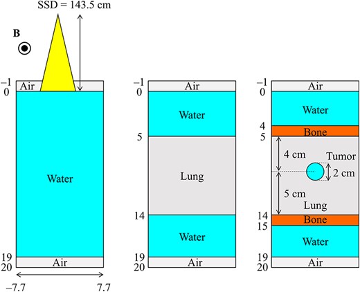Schematic representation of phantom geometries. The left image shows the homogeneous water phantom, the center image shows the slab lung and water phantom and the right image shows the slab lung and bone phantom with an inserted spherical tumor.