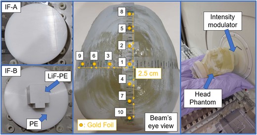 Intensity modulators and location of the gold foil in the setup during the irradiation test.