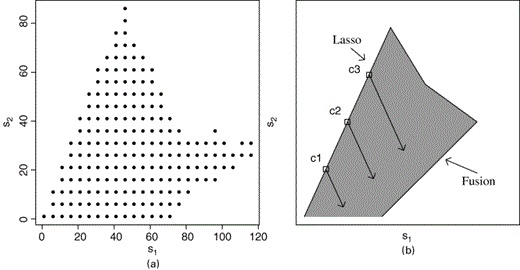 图3的模拟示例：（a）边界s1和s2的可达到值；（b） 文本中描述的融合套索搜索过程示意图