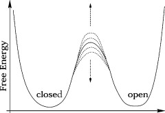 两种状态之间的能垒波动：奥恩斯坦-乌伦贝克过程模拟了DNA发夹打开和关闭状态之间能垒的动态振荡