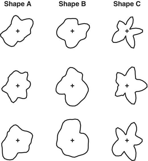 Rows 1–3: Nine examples of contours enclosing star-shaped polygons with a multi-quadric covariance generated from Gaussian star-shaped contour models (GSCMs) with three different parameter settings, organised by column. The cross sign denotes the starting point, C. The GSCM parameter settings are referred to as (left), (middle) and (right). For all shapes p=50, τ=2 and δ=0.5. Values for μ and σ are given in Appendix C.