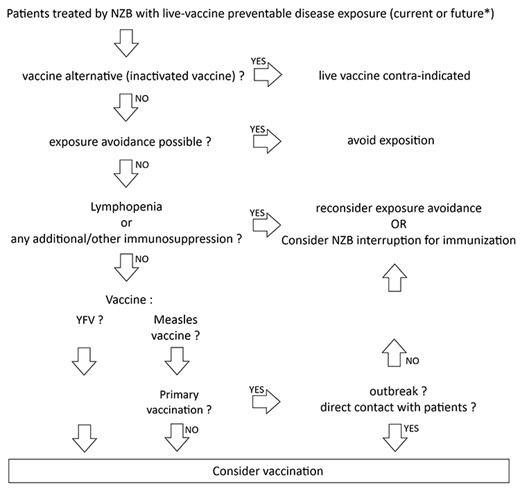 Proposed policy for the use of live vaccines in patients treated by NZB. NZB: natalizumab. YFV: yellow fever vaccine. *: for example, if modification of immunosuppressive regimen is considered and will strictly contraindicate live vaccines in the future