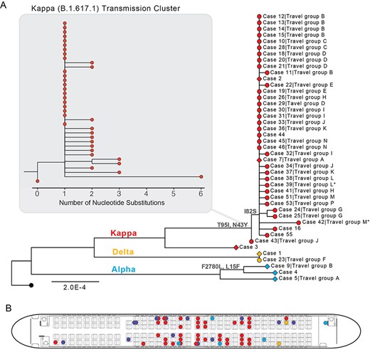 SARS-CoV-2 transmission associated with a flight from New Delhi to Hong Kong in April 2021. Colours represent WHO VOC/VOI and Pango lineage designations.10 (A) ML phylogeny of 43 genomes sequenced from 59 cases. Wuhan-Hu-1 (MN908947.3, black tip) was used to root the tree. Diamond tip shapes indicate index cases and circles represent secondary-transmission cases; tips are labelled with case numbers and travel groups. Asterisk denotes sequences with lower coverage (~73%). Nodes are labelled with observed amino acid mutations. The Kappa (B.1.617.1) transmission cluster is magnified to show nucleotide substitutions among samples. (B) Seat assignments of passengers testing positive. Seats with two positive cases indicate adults seated with children under the age of two.