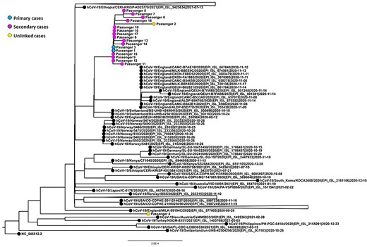 A global maximum likelihood phylogenetic tree* including the B.1.480 lineage from genomes submitted to GISAID as of 13 December 2021. *All branch lengths are drawn to a scale of nucleotide substitutions per site and the tree is rooted to the prototype strain of SARS-CoV-2 (NC_045512.2).