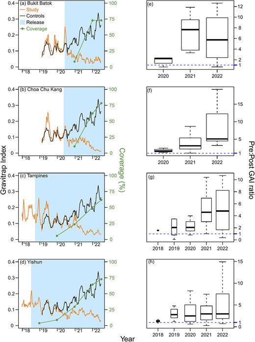 Weekly average, town-level Gravitrap Aedes aegypti index (GAI) and Wolbachia coverage (%) from 2018 to 2022 in the intervention sites of (a) Bukit Batok, (b) Choa Chu Kang, (c) Tampines and (d) Yishun. The average GAI from the 12 controls is plotted for comparison. GAI is defined as the mean number of female adult Ae. aegypti caught per functional Gravitrap per week, hence proxies for adult Ae. aegypti abundance in public housing areas in release area of each town. The geographical coverage (%) represents the percentage of areas within the town that is covered by Wolbachia interventions for at least 6 months and is calculated at the end of each year. Points represent coverage of Wolbachia interventions by the end of each year. The 6-month mark for coverage is based on the time it takes Wolbachia release to have ~80% suppressive efficacy on Ae. aegypti abundance. The corresponding ratios of pre- and post-intervention GAIs at the same township is also plotted in (e), (f), (g) and (h), per year, on a per-township basis. The threshold of 1 indicates no difference between pre- and post-GAIs for a specific sector in that specific year vs the pre-intervention period, and values >1 indicate lower GAIs in the post-intervention period