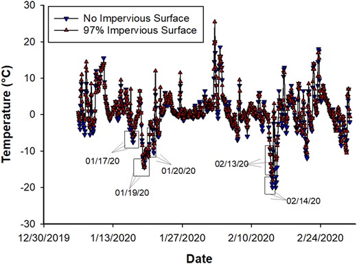 The daily host canopy temperatures from 6 January 2020 to 29 February 2020 of evergreen bagworm-infested plant in Lafayette and West Lafayette, IN. A solid line with down-pointing triangle represents the temperature recorded from infested host having no impervious surface whereas a solid line with up-pointing triangle represents the temperature recorded from the infested host having 97% impervious surface around 20-m of plant. The five rectangles and arrow with date in main graphs represent the coldest recorded (maximum temperature ≤0°C) days during winter of 2019–20