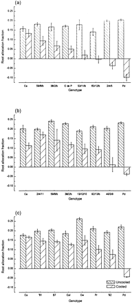 Root allocation fractions for cold‐girdled and non‐girdled P. vulgaris plants in three experiments. (a) Eight genotypes: Prelude (Pd), Carioca (Ca), Coco de Prague (C de P) and five genotypes from a Carioca×Prince cross (63/12/b, 59/8/b, 38/2/b, 2/4/5, 53/11/b). (b) Eight genotypes: Prelude (Pd), Carioca (Ca) and six genotypes from a Carioca×Prince cross (40/3/9, 92/13/b, 59/8/b, 38/2/b, 2/4/11, 13/12/10). (c) Eight genotypes: Prelude (Pd), Carioca (Ca), Canadian Wonder (Cw), Prince (Pr), Carioca (Itiuba) (CaI), GLPX 1281 (‘81) GLPX 192 (‘92), and 1 line from a Carioca×Prince cross (B7). Data are means±SE (mostly n=5).