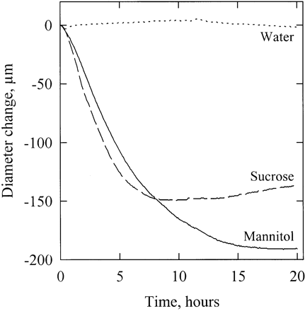 Time‐course of diameter variation of branch segments perfused with mannitol (plain line), sucrose (dashed line) and water (dotted line). For this representative example, solutions having a Π value of −1.5 MPa were perfused (at time=0) through different segments previously equilibrated with a solution at −1 MPa.