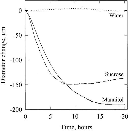 Time‐course of diameter variation of branch segments perfused with mannitol (plain line), sucrose (dashed line) and water (dotted line). For this representative example, solutions having a Π value of −1.5 MPa were perfused (at time=0) through different segments previously equilibrated with a solution at −1 MPa.