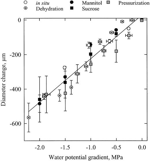 Dependence of stem diameter variation ( y ‐axis) on water potential difference ( x ‐axis) between xylem and bark tissues. Diameter variations were measured on transpiring potted trees (open circles), on dehydrating cut branches (crossed circles), by perfusing branch segments with concentrated solutions of mannitol (closed circles) and sucrose (closed squares) and by pressurizing segments in a pressure sleeve (gray squares). The error bars indicate ±1 SE and the line is a linear regression through all the data.