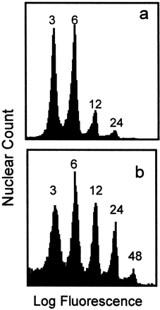 Histogram illustrating the distribution of nuclei into DNA‐content size‐classes, as analysed by flow cytometry. Nuclei from control endosperms at 9 DAP (a) and 13 DAP (b) are shown. Endosperms were treated with pectinase to release nuclei into homogeneous suspension, treated with propidium iodide fluorochrome, and analysed by flow cytometry. Each peak is labelled with its DNA copy number, where 1C is the haploid nuclear DNA content.