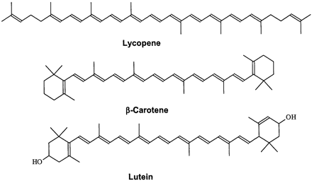 Fig. 1. Structures of typical carotenoids.