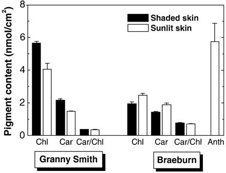 Fig. 2. Pigment content of sun‐exposed skin compared with that of shaded skin of Granny Smith and Braeburn apples (n=60); mean ±SE.