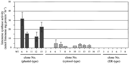 Fig. 4. Enzyme activity of LS in transgenic tobacco plants. WT, wild‐type tobacco plants. The results are the mean ±standard deviation of three replicates. The assay conditions for the enzyme activity are described in the Experimental section.