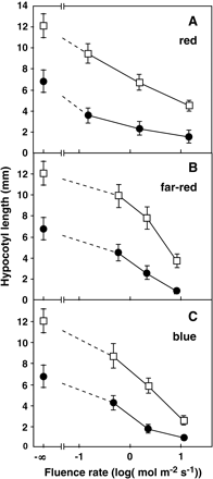 Hypocotyl responses of the chi2 mutant to monochromatic lights. Hypocotyl lengths of the chi2 (filled circles) and the wild-type (open squares) seedlings were examined. Seedlings were grown under different fluence rates of continuous red (A), far-red (B) or blue (C) lights for 6 d. Averages of three independent experiments are shown. Error bars indicate SD.