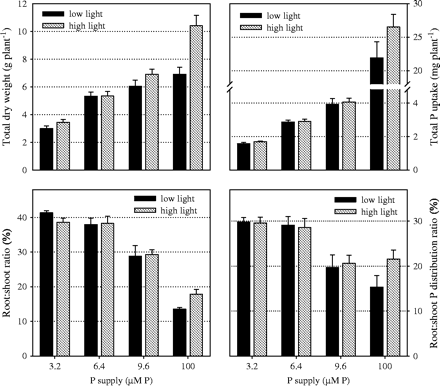 Effect of P supply and light intensity on dry weight, P uptake and on the relative distribution of dry weight and P between root and shoot (harvested 7 weeks after sowing). Values shown are combined averages for genotypes Nipponbare and NIL-Pup1 (bars represent standard errors). Plants were grown in nutrient solution at four levels of P supply and two levels of light intensity (low=260 μmol m−2 s−1; natural=765 μmol m−2 s−1).
