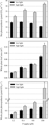 Effect of P supply and light intensity on net photosynthesis, plant leaf area and on estimated whole-plant photosynthesis. This estimate was obtained by multiplying net photosynthesis by whole-plant leaf area. Values shown are combined averages for genotypes Nipponbare and NIL-Pup1, both grown in nutrient solution containing four levels of P (bars represent standard errors; measurements taken 7 weeks after sowing).