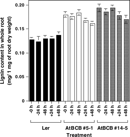 Lignin content in the whole root region of Ler and the AtBCB over-expressing transgenic lines. −, +; treatments under 0 μM or 100 μM Al condition. Whole root region of 10-d-old plants grown in 1/6 MS medium (pH 4.2) were used for quantitative determination of lignin content. Three independent experiments were performed and the results are shown as average values ±SE.