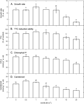 Changes in growth rate (A), TTC reduction ability (B), chlorophyll a (C), and carotenoid (D) in Ulva fasciata in response to varying UV-B doses. Data are present as means ±SD (n=3) and different letters indicate significant difference among treatments.