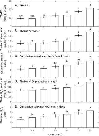 Changes in the contents of TBARS (A), total peroxide in thallus (B) and seawater (C), and H2O2 in thallus (D) and seawater (E) in Ulva fasciata in response to varying UV-B doses. Data are present as means ±SD (n=3) and different letters indicate significant difference among treatments.
