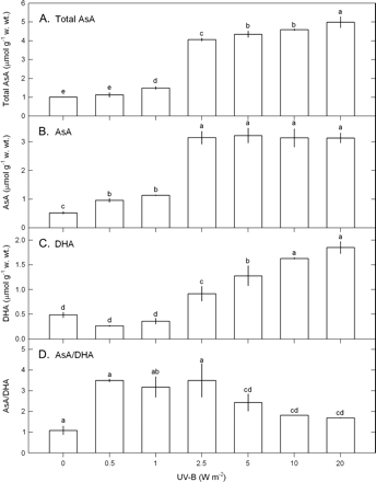 The contents of total AsA (A), AsA (B), DHA (C), and the ratios of AsA/DHA (D), in Ulva fasciata in response to varying UV-B doses. Data are present as means ±SD (n=3) and different letters indicate significant difference among treatments.