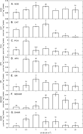 The activities of SOD (A), CAT (B), POX (C), APX (D), GR (E), MDHAR (F), and DHAR (G) in Ulva fasciata in response to varying UV-B doses. Data are present as means ±SD (n=3) and different letters indicate significant difference among treatments.